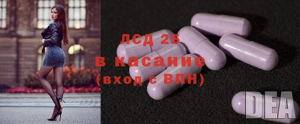 гидра Арсеньев