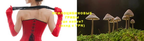 гидра Арсеньев